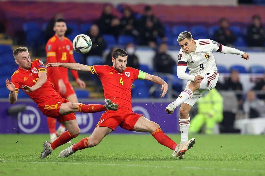 比利时憾失晋级，英勇不负众望